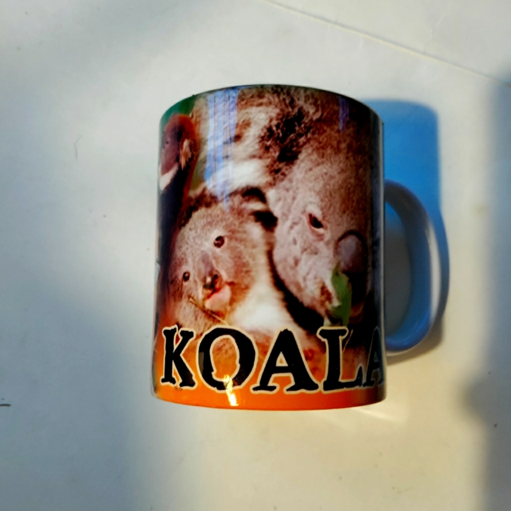 Koala drinking cup